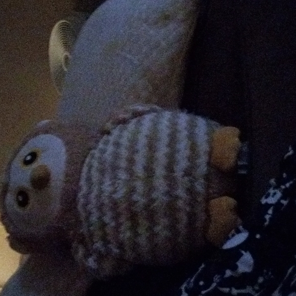 A stuff owl 🦉 - Picture 3 of 5